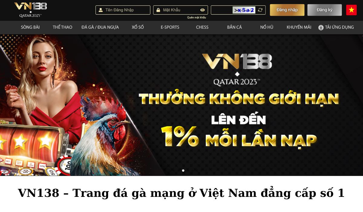 VN138 – Trang đá gà mạng ở Việt Nam đẳng cấp